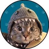 Nala Cat $NALA