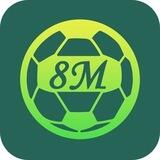 8M游戏