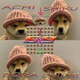 ASBCC69I | Portal