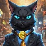 Angry Cat Channel