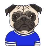 PugMe - Official Community
