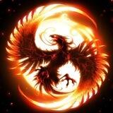 💎 گروه رفرالگیری رایگان / Phoenix💰