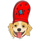 CrocDog ✨SPORTSMODE✨🏎💨