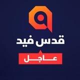 قدس فيد | عاجل