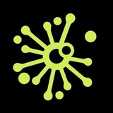 Blast Score Official Channel