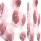 raspberr