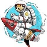 DOGE-1