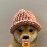 Baby WIF