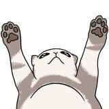 Humping Cat
