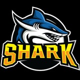 ✘Shark·鲨鱼🦈