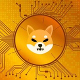 🐶 Shiba Inu on Sol (CTO)