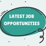 Software Developer Jobs & IT Internships