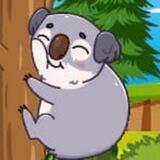 Kozy Koala