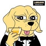Labrador