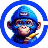 BASE APES