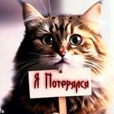 Потеряшка+ Великий Новгород