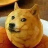 血腥猎奇吧