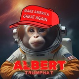 ALBERT - TRUMP HAT - SOL - PORTAL