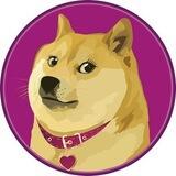 DOGETA - 💕 Doge's Girlfriend 💕