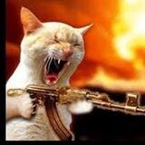 $CATSOFWARS