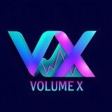 VOLUMEX/ PORTAL