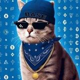 $CATDAWG | Base