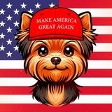 Tiger - Trump's Dog