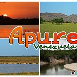 ✡APURE VENDE🇻🇪