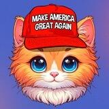 Simba | Trump's first Cat