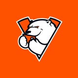 Virtus.pro Mobile