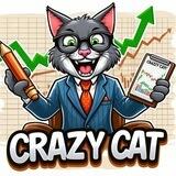 Crazy Cat