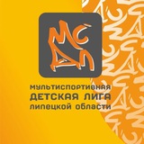 Мультиспортивная Детская Лига