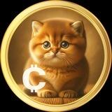 Baby Catcoin | Audit certik | 2 CEX
