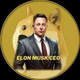 Elon Musk CEO - Official Portal