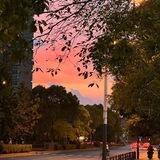 云龙Q拉