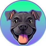 KAYLA 🐕‍🦺 Raj's female pitbull