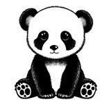 코인판다 coinwithpanda
