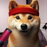 dogwifheadband - Portal