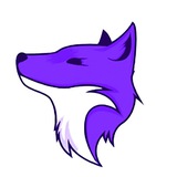 Defox_nl