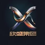 公群【319】欣盛集团叙述集团承兑/口令/扫码/代付/上压6888u