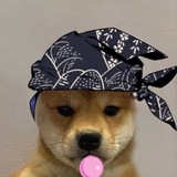 Joji Innercircle