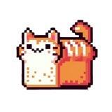 $CATTO 🐈 | On Solana