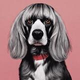 DOG WIF BANGS