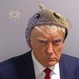 Shark Trump Community