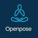 AIBox_Openpose骨骼图仓库