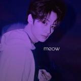 meow boy