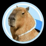 Capybara