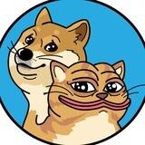 DogWifCatCoin Portal