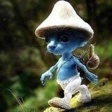 Smurf Cat Solana