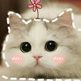 GALLERY USERNAME